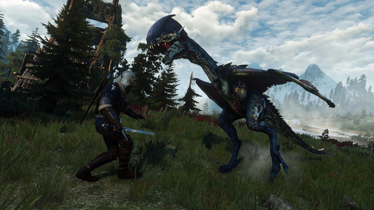 Dragons in the witcher