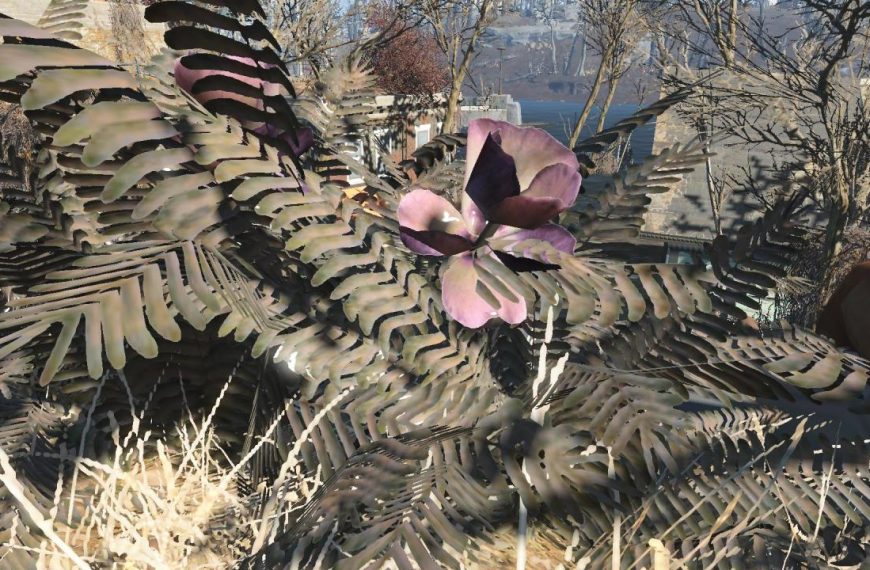 Fallout 4 mutated fern