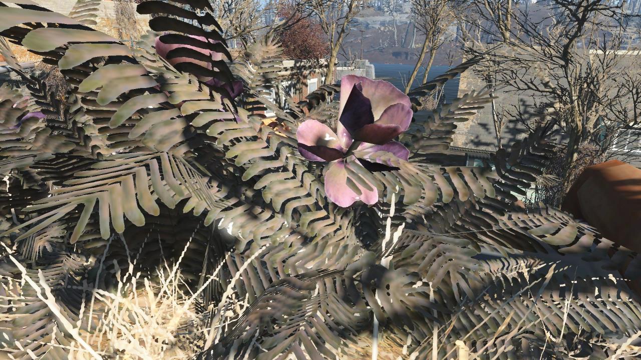 Fallout 4 mutated fern