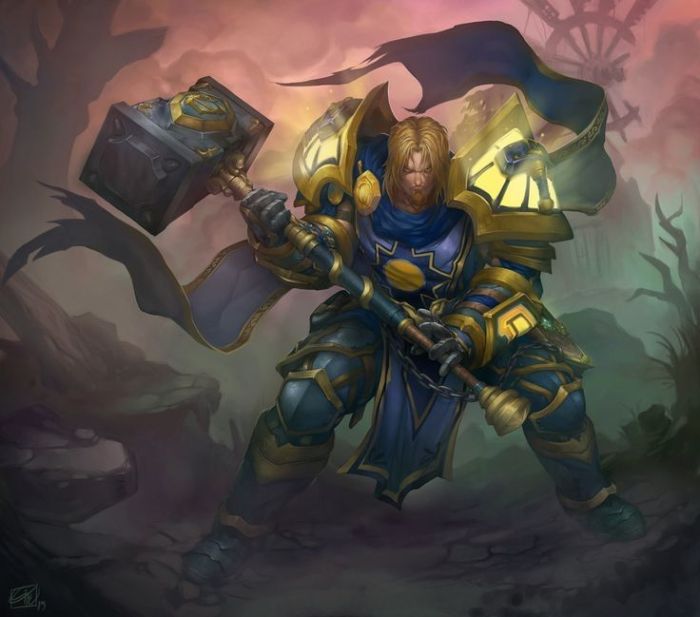 Is anduin a paladin