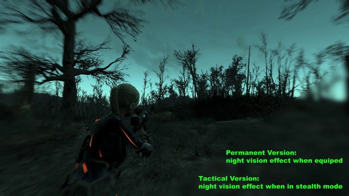 Fallout 4 night vision