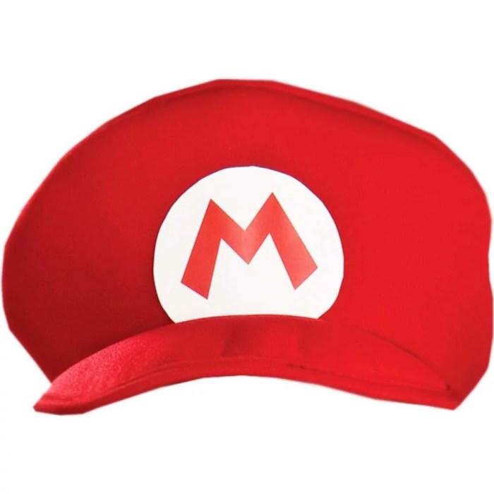 Super mario hat costume