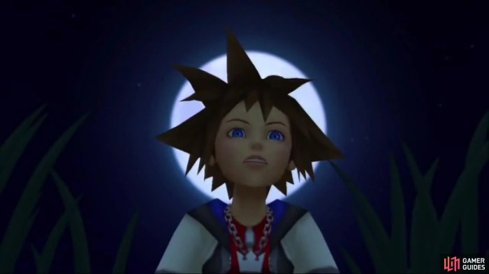 Chain of memories sora