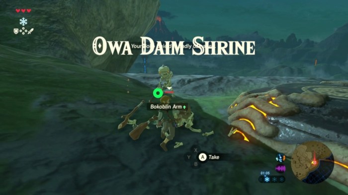 Owa daim shrine location