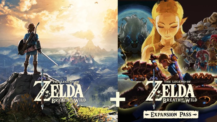 Breath of wild expansion