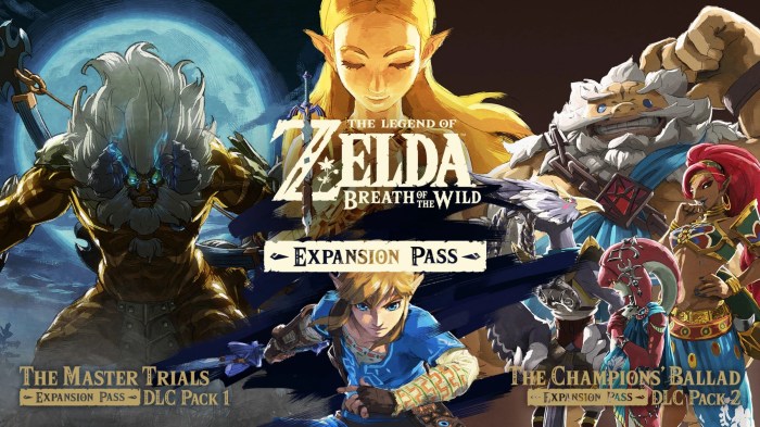 Breath of wild expansion