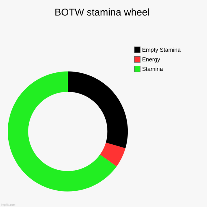 Botw health or stamina