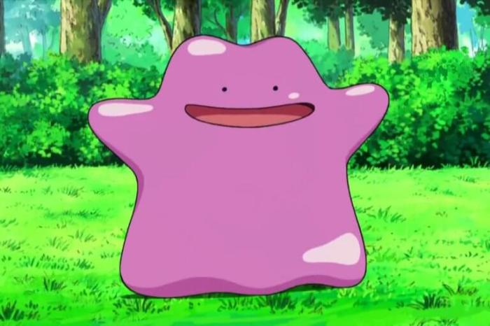 Does ditto copy stats