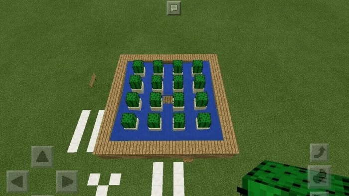 How to make cactus farm