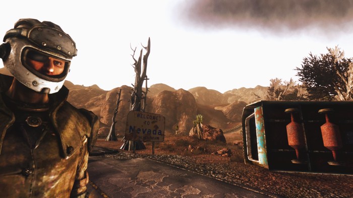 Fallout new vegas freezes