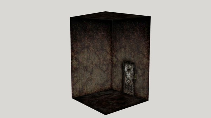 Silent hill 2 bug room