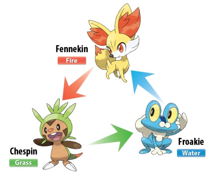 X and y starter pokemon