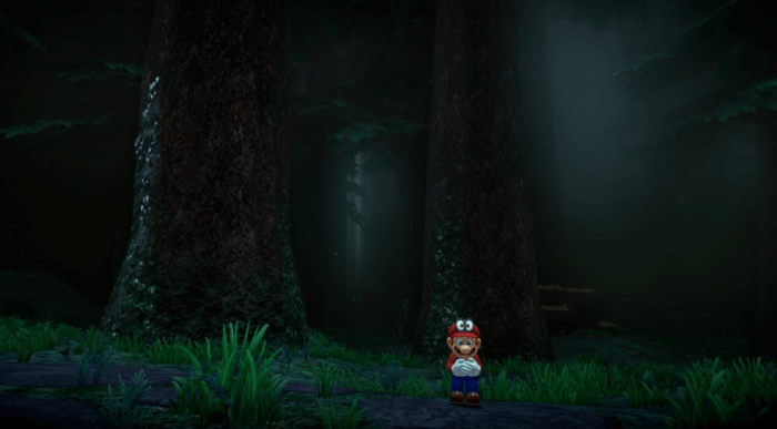 Deep woods mario odyssey