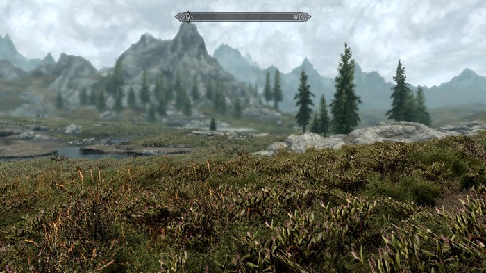 Skyrim depth of field