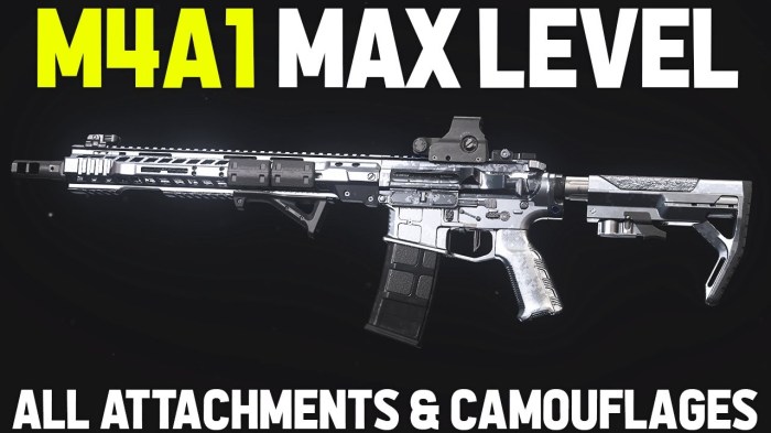 Call of duty max level