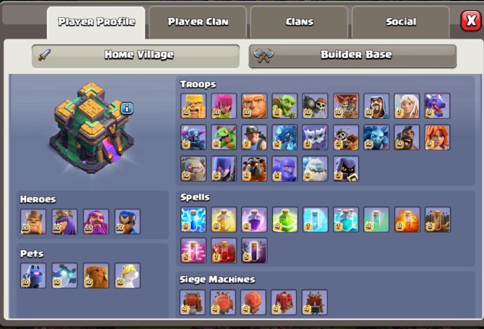 Coc troops max level