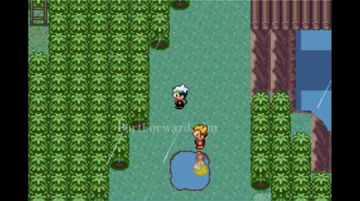 Emerald gyms gym rustboro hoenn serebii little