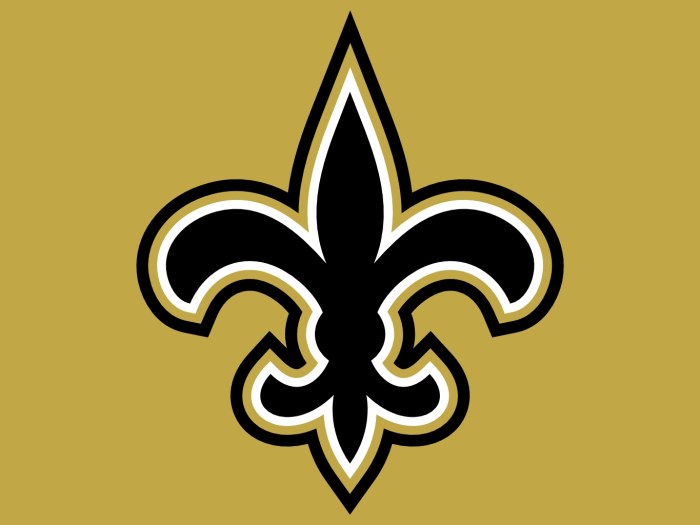 Fleur de lis saints logo