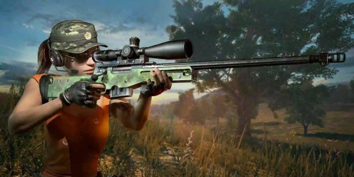 Bolt action rifles snipers pubg