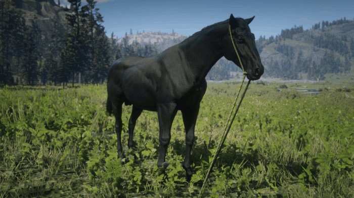 How to call horse in rdr2