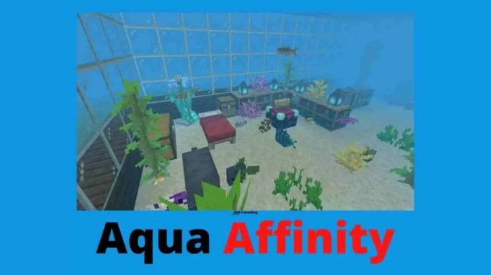 Aqua affinity enchantment