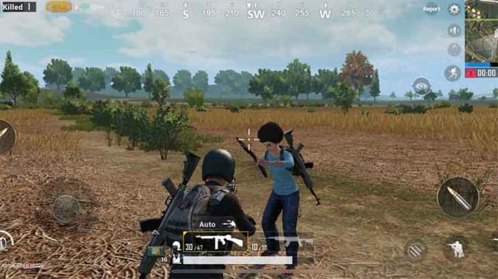 Are there bots in pubg