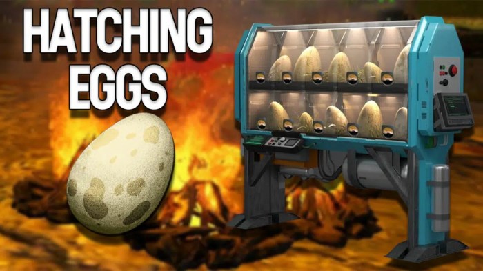 Hatching eggs in ark