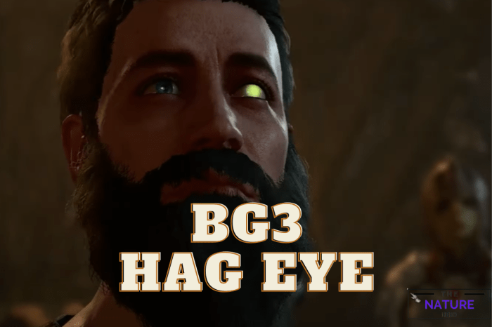 How to get hag hair bg3