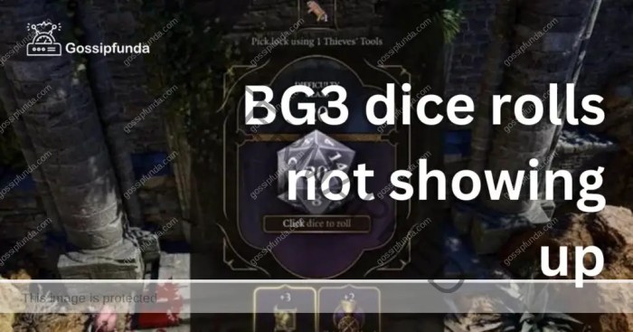 Bg3 dice not showing up