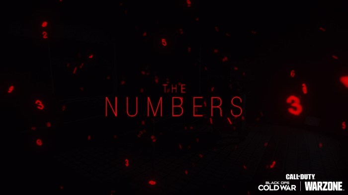 Numbers from black ops