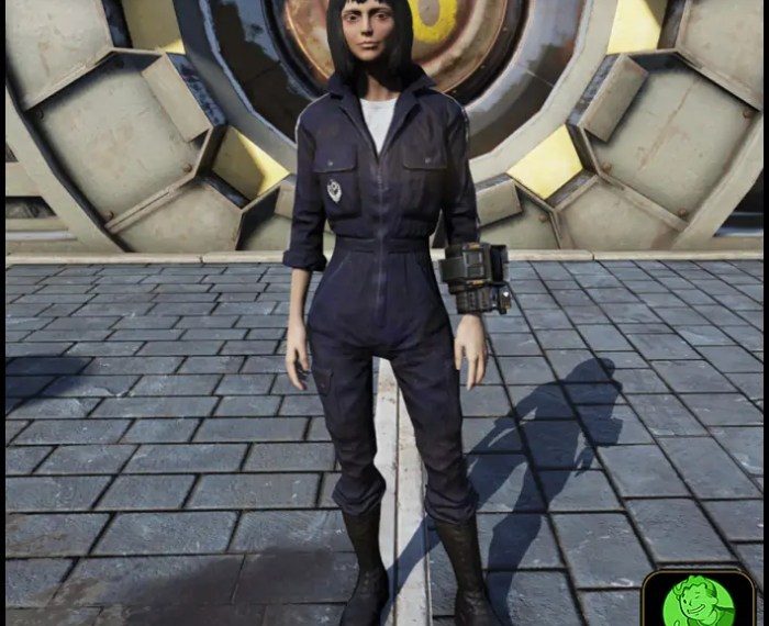 Fallout 76 bos jumpsuit