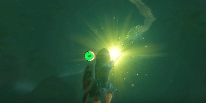 Botw speed of light