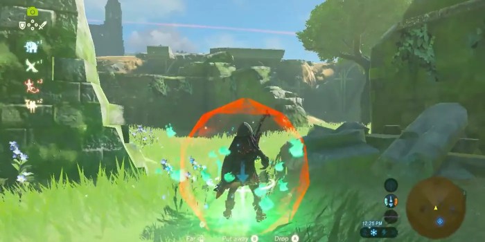 Botw first person bow