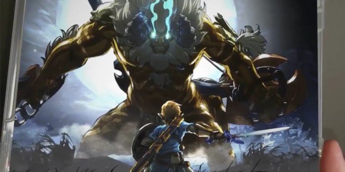 Botw box flipped else anyone looks has amazing climbed thing inside link looking he top