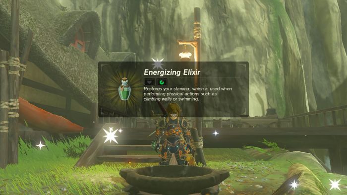 30 minute elixirs botw