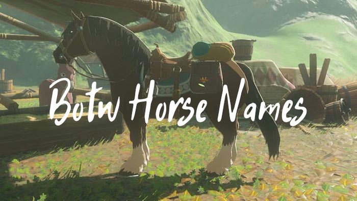 Botw horse name ideas