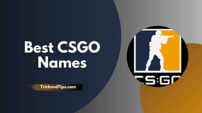 Cool usernames for csgo