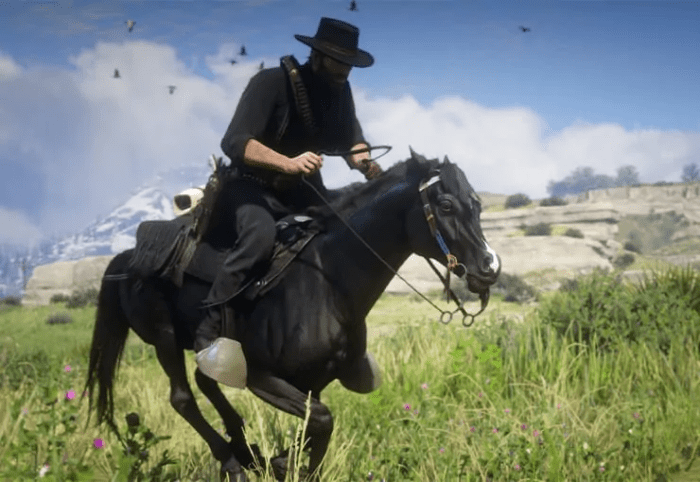 Rdr2 singleplayer stirrups really