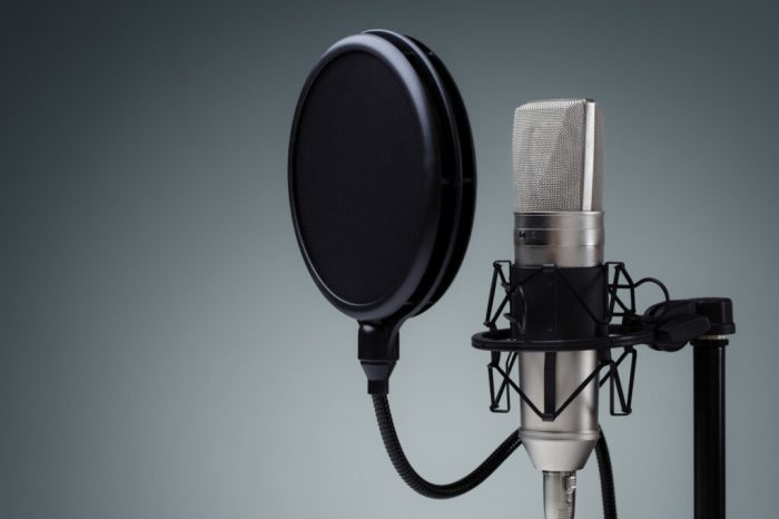 Voice over work phoenix