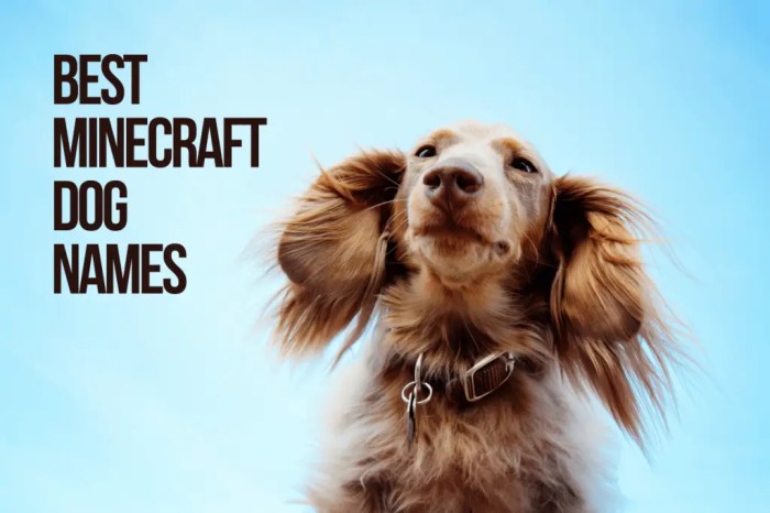 Best minecraft dog names