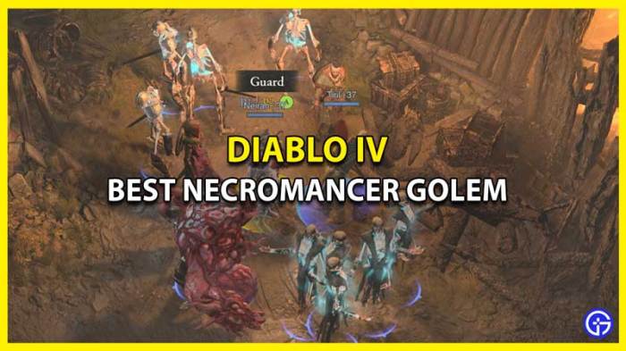 Diablo 4 best golem