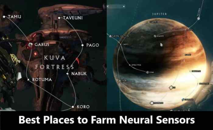 Best neural sensors farm