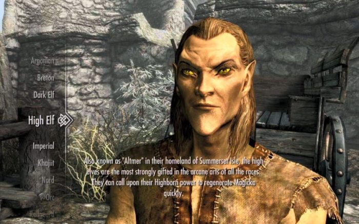 Best race for mage skyrim