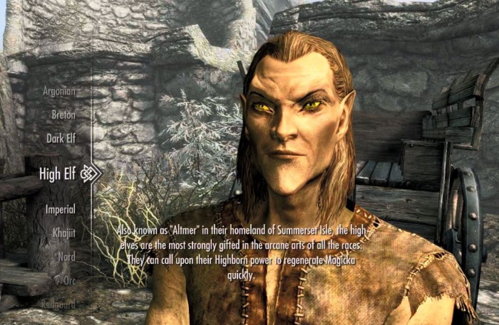 Best mage race skyrim