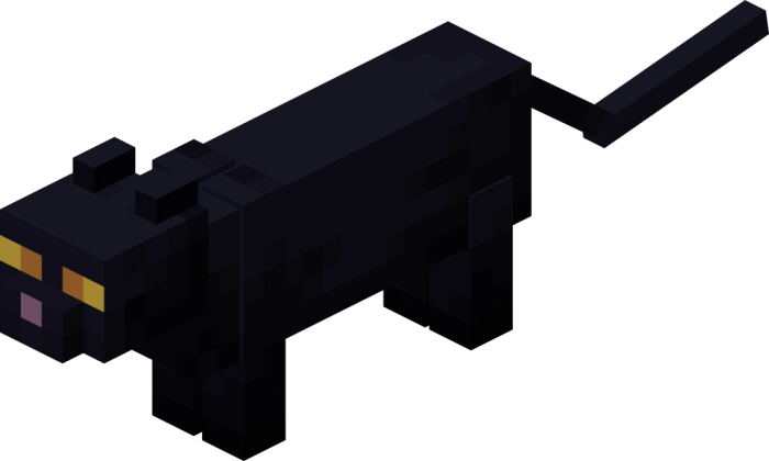 Black cat minecraft skin