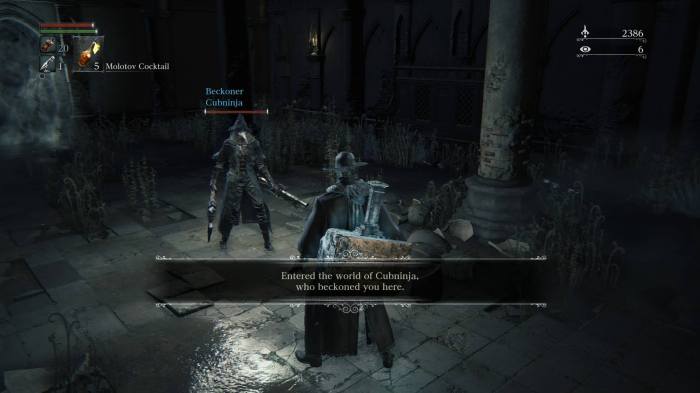 How to coop in bloodborne