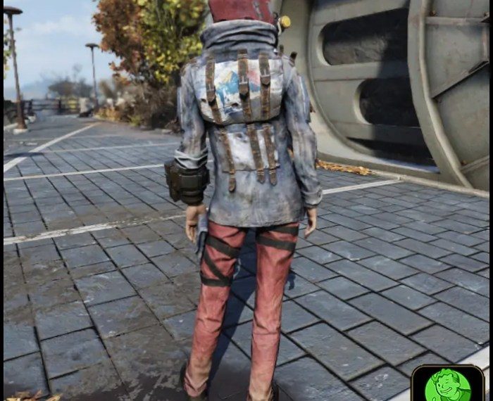 Fallout 76 rare outfits