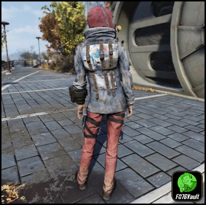 Fallout 76 rare outfits