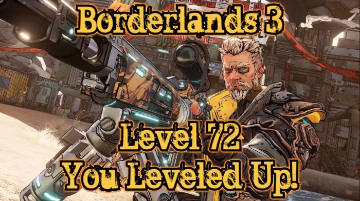 Borderlands 2 op levels