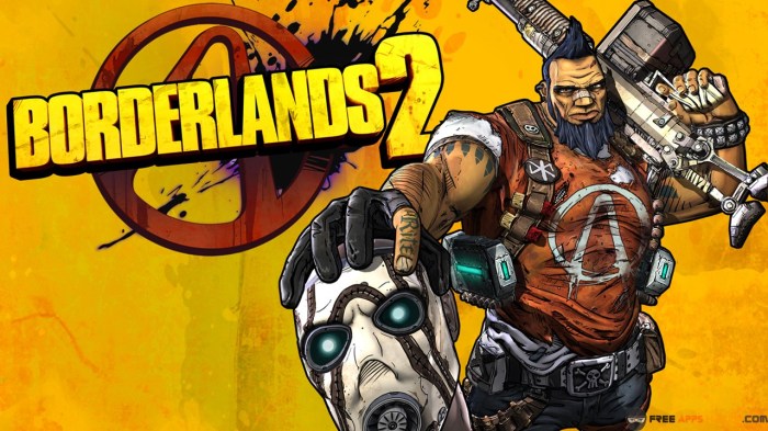 Glitches in borderlands 2